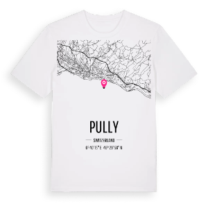 Pully karta t-shirt – ekologisk bomull t-shirt från Pinshirt
