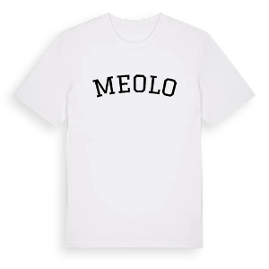 Meolo böjd t-shirt – ekologisk bomull t-shirt från Pinshirt