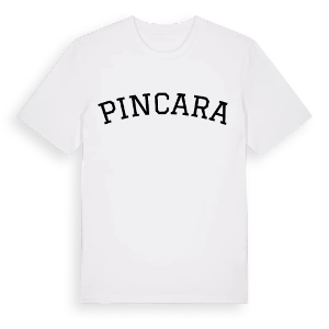 Pincara böjd t-shirt – ekologisk bomull t-shirt från Pinshirt
