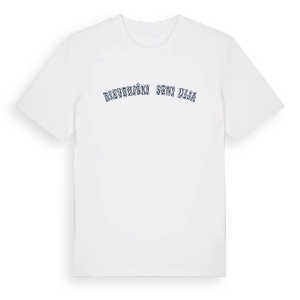 Dieveniškių seniūnija college t-shirt – ekologisk bomull t-shirt från PinShirt
