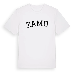 Zamość böjd t-shirt – ekologisk bomull t-shirt från Pinshirt