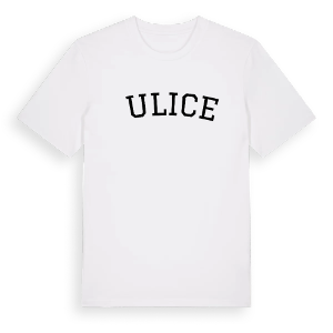 Żulice böjd t-shirt – ekologisk bomull t-shirt från Pinshirt