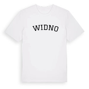 Świdno böjd t-shirt – ekologisk bomull t-shirt från Pinshirt
