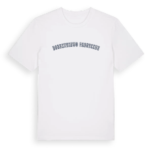 Dobrzyniewo Fabryczne college t-shirt – ekologisk bomull t-shirt från Pinshirt