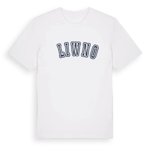 Śliwno college t-shirt – ekologisk bomull t-shirt från Pinshirt