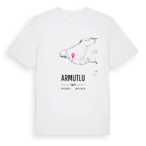 Armutlu karta t-shirt – ekologisk bomull t-shirt från Pinshirt