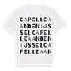 Capelle aan den IJssel ordlek t-shirt