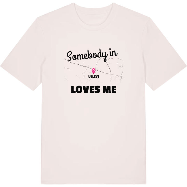 Någon i Ullevi älskar mig t-shirt – t-shirt från PinShirt