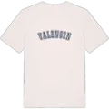 Valencin college t-shirt