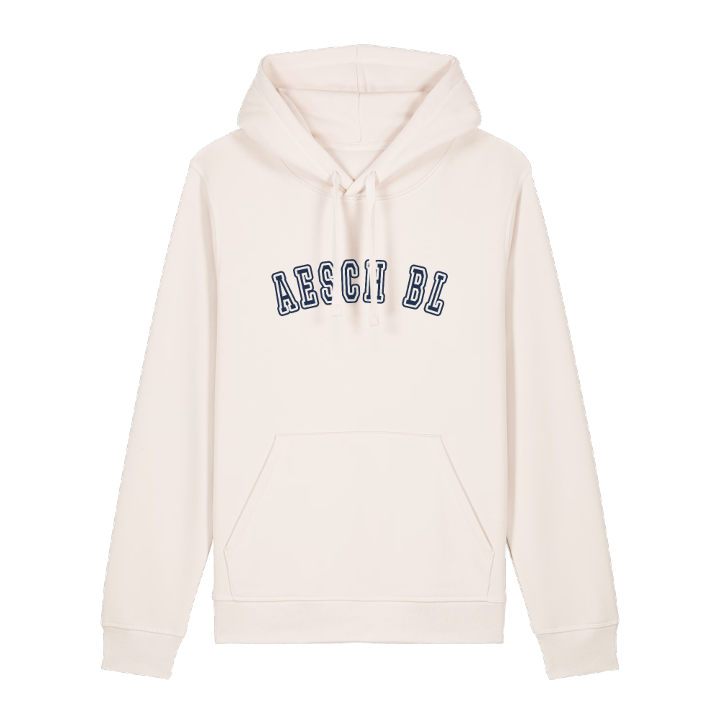 Aesch BL college hoodie – hoodie från PinShirt