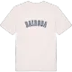 Bairoda college t-shirt