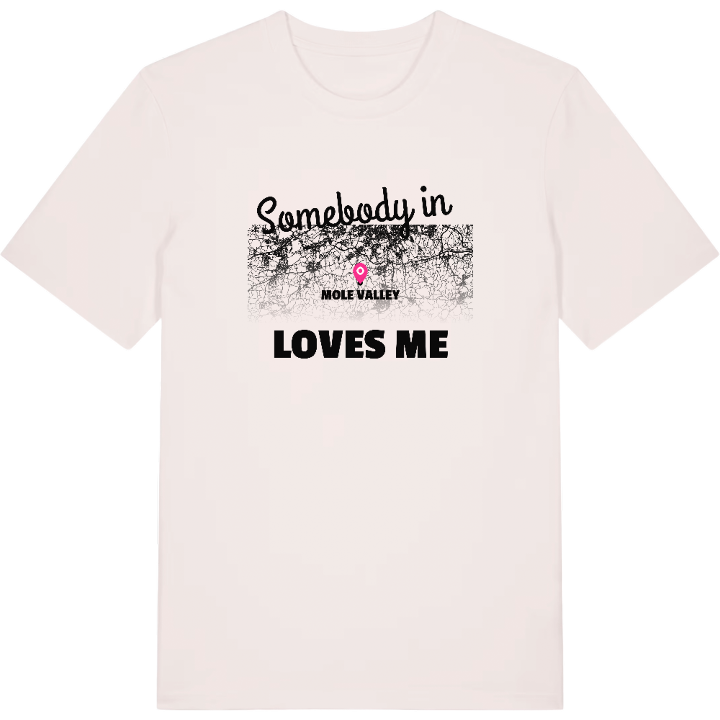 Någon i Mole Valley älskar mig t-shirt – t-shirt från PinShirt