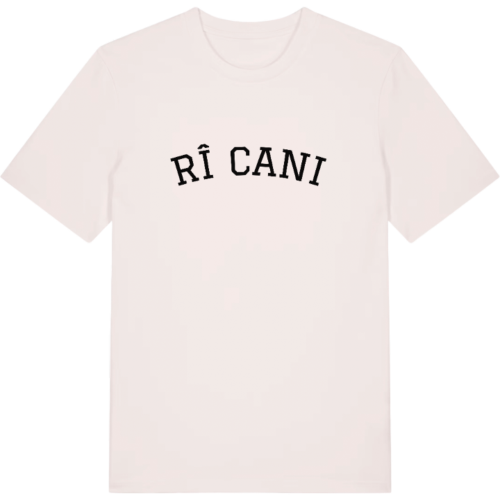 Rîșcani böjd t-shirt – t-shirt från PinShirt