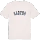 Sadyba college t-shirt