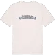 Spännefalla college t-shirt