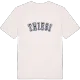 Thiesi college t-shirt