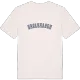 Drolshagen college t-shirt
