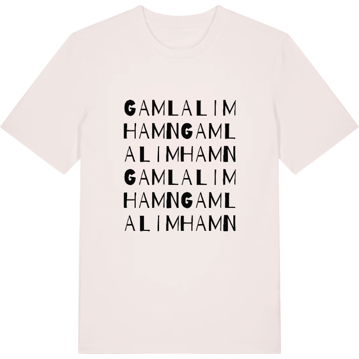 Gamla Limhamn ordlek t-shirt – t-shirt från PinShirt