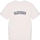 Gleichen college t-shirt