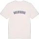 Holwierde college t-shirt