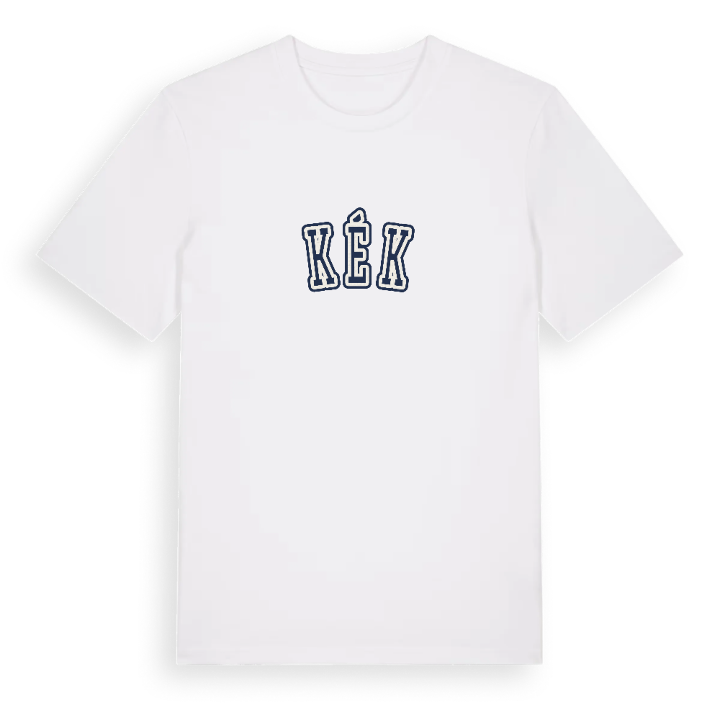 Kék college t-shirt – t-shirt från PinShirt