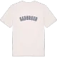 Saborsko college t-shirt