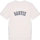 Santiz college t-shirt
